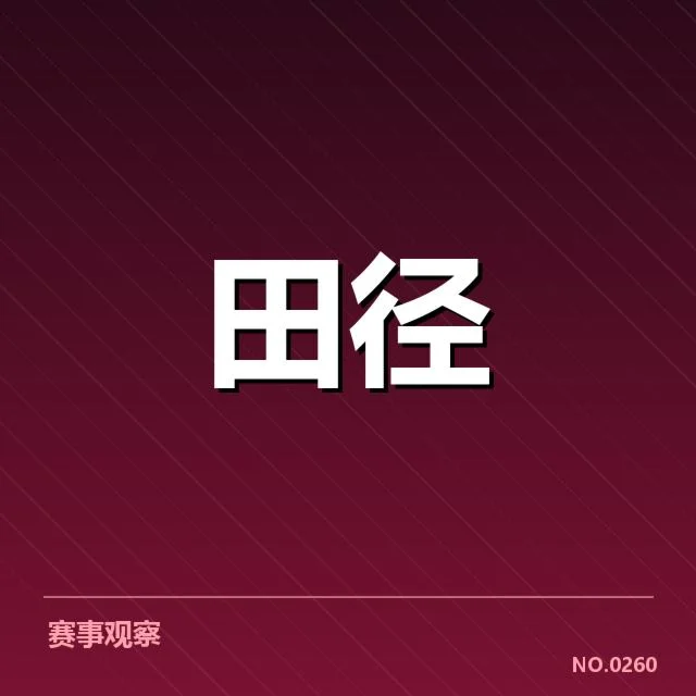 技术细节与战术优化的核心内容